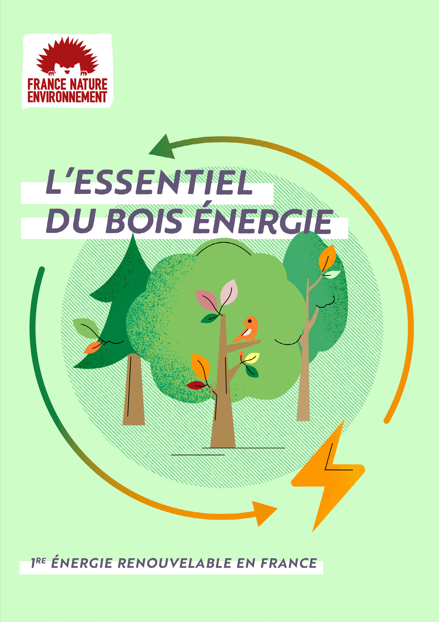 L'essentiel du bois énergie France Nature Environnement